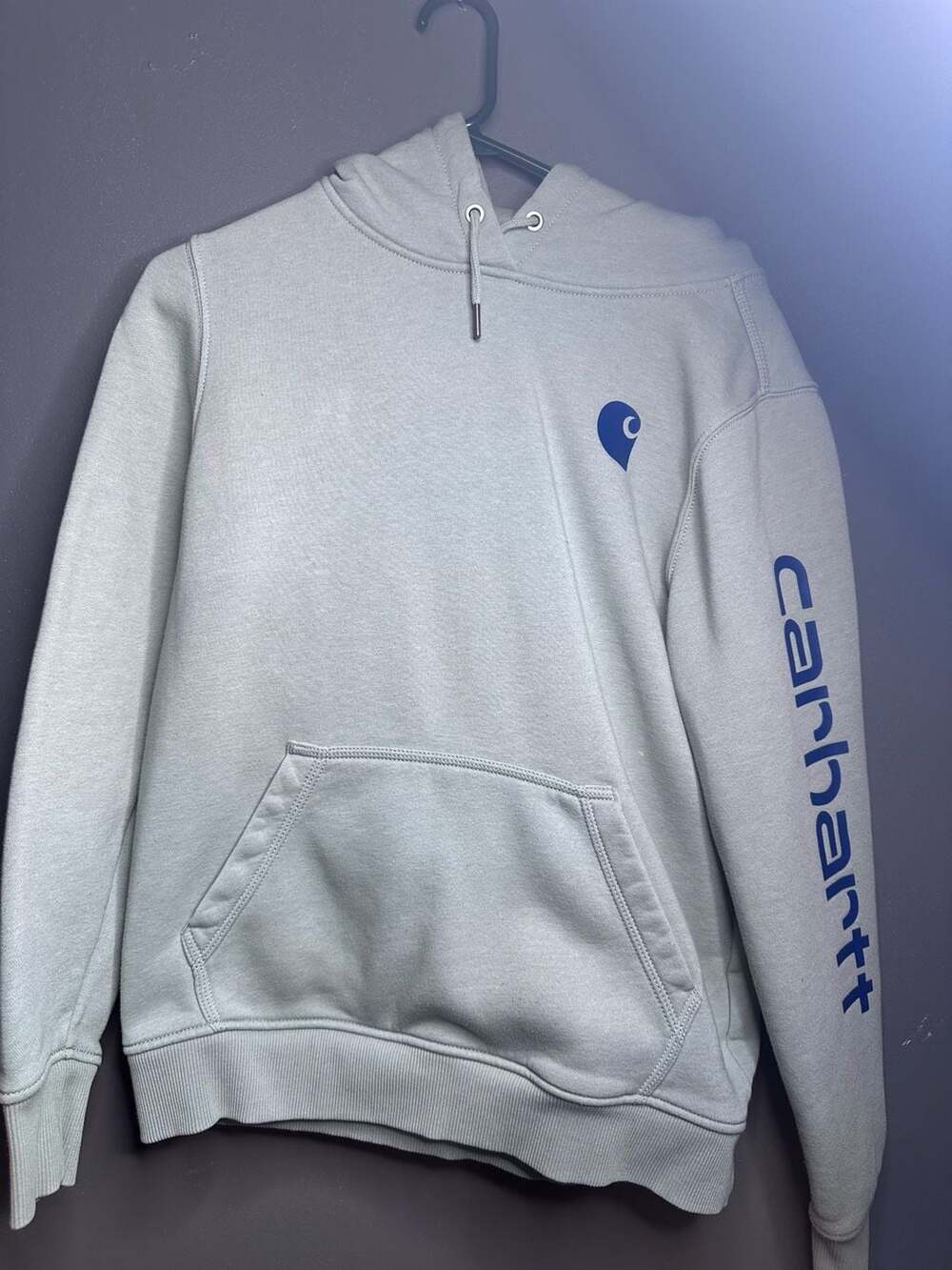 Carhartt Women's Relaxed Fit Clarksburg Logo Sleeve Graphic Hoodie